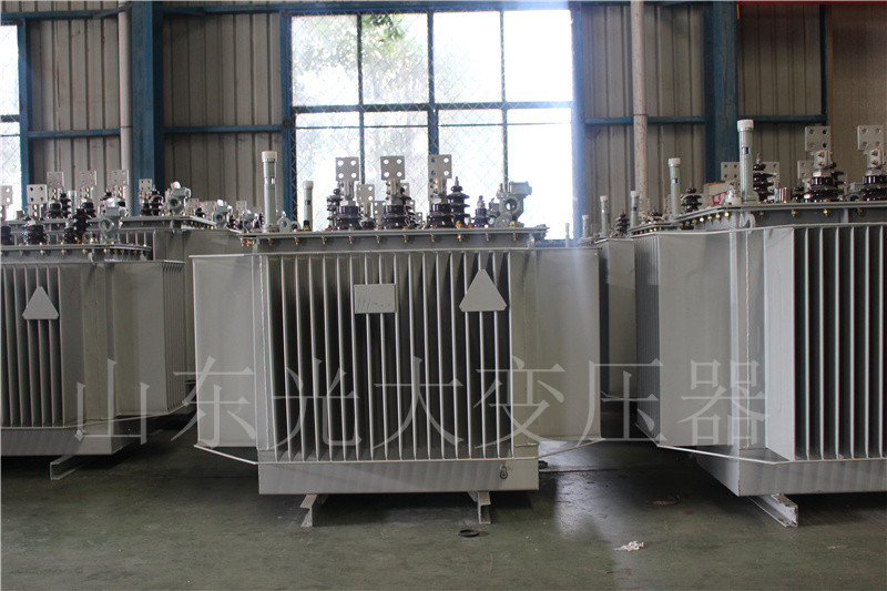 霍州S20-500KVA/10KV
